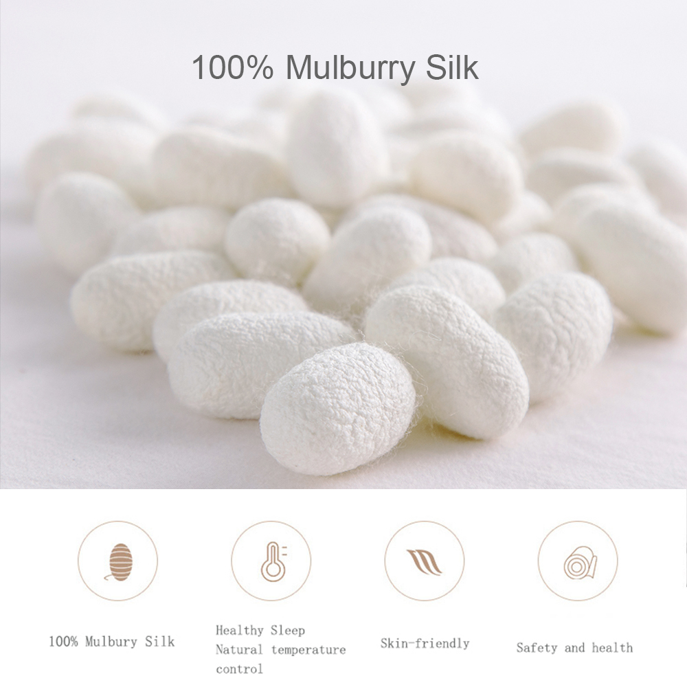 Liv-Esthete-Juego de funda nór - Skincare Skin 1004 reseña y precio